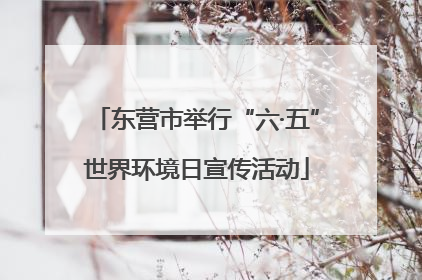 东营市举行“六·五”世界环境日宣传活动