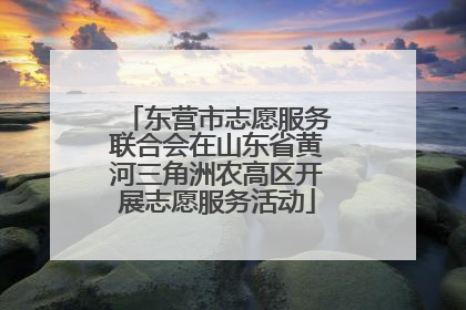 东营市志愿服务联合会在山东省黄河三角洲农高区开展志愿服务活动