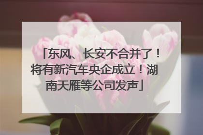 东风、长安不合并了！将有新汽车央企成立！湖南天雁等公司发声