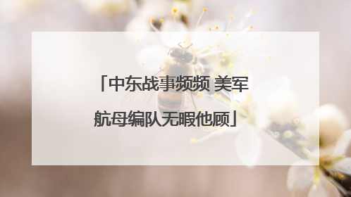 中东战事频频 美军航母编队无暇他顾