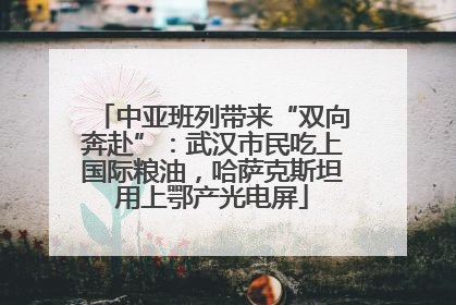 中亚班列带来“双向奔赴”：武汉市民吃上国际粮油，哈萨克斯坦用上鄂产光电屏