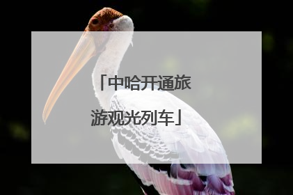 中哈开通旅游观光列车