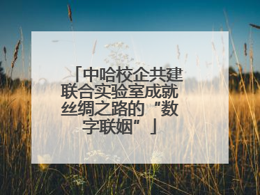 中哈校企共建联合实验室成就丝绸之路的“数字联姻”