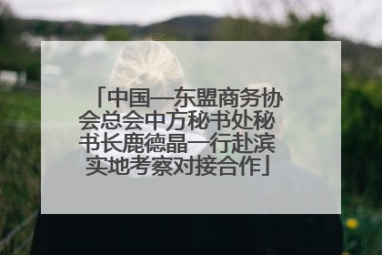中国—东盟商务协会总会中方秘书处秘书长鹿德晶一行赴滨实地考察对接合作