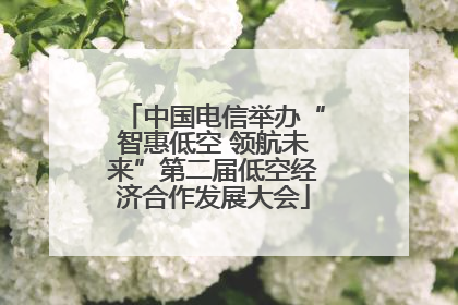 中国电信举办“智惠低空 领航未来”第二届低空经济合作发展大会