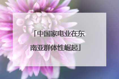 中国家电业在东南亚群体性崛起