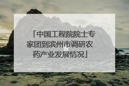 中国工程院院士专家团到滨州市调研农药产业发展情况