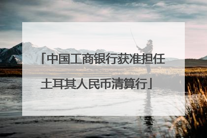 中国工商银行获准担任土耳其人民币清算行