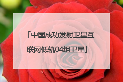 中国成功发射卫星互联网低轨04组卫星