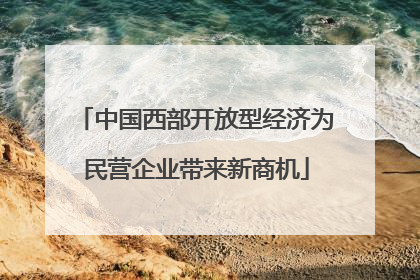中国西部开放型经济为民营企业带来新商机