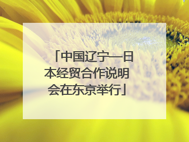 中国辽宁—日本经贸合作说明会在东京举行