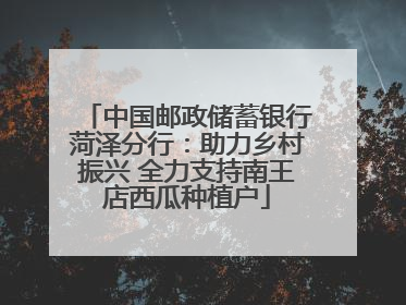 中国邮政储蓄银行菏泽分行：助力乡村振兴 全力支持南王店西瓜种植户