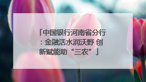 中国银行河南省分行：金融活水润沃野 创新赋能助“三农”