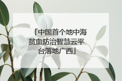 中国首个地中海贫血防治智慧云平台落地广西