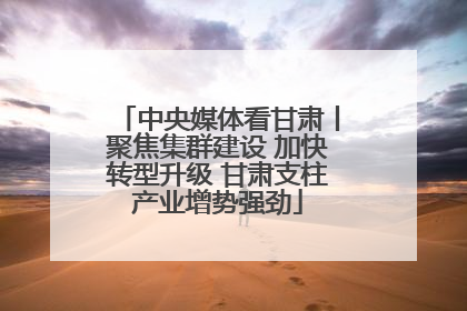 中央媒体看甘肃丨聚焦集群建设 加快转型升级 甘肃支柱产业增势强劲