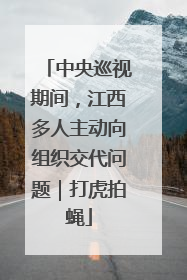 中央巡视期间，江西多人主动向组织交代问题｜打虎拍蝇