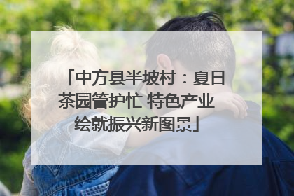 中方县半坡村：夏日茶园管护忙 特色产业绘就振兴新图景