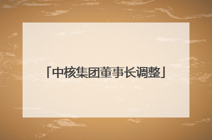 中核集团董事长调整