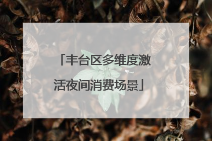 丰台区多维度激活夜间消费场景