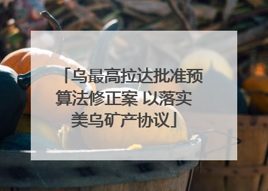 乌最高拉达批准预算法修正案 以落实美乌矿产协议
