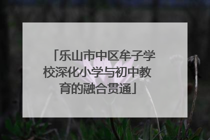 乐山市中区牟子学校深化小学与初中教育的融合贯通