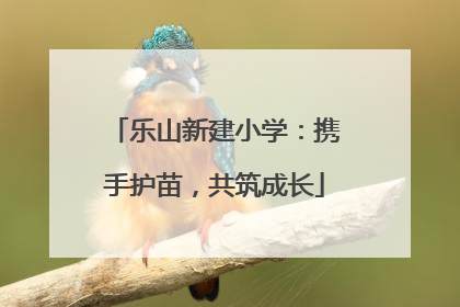 乐山新建小学：携手护苗，共筑成长