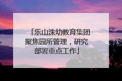 乐山洙幼教育集团聚焦园所管理，研究部署重点工作