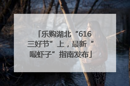 乐购湖北“616三好节”上，最新“嘬虾子”指南发布