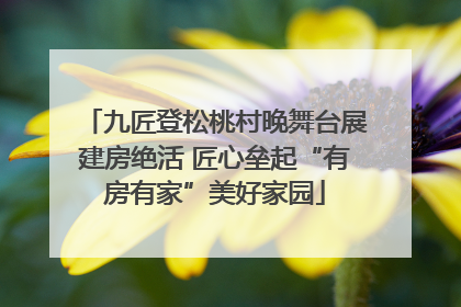 九匠登松桃村晚舞台展建房绝活 匠心垒起“有房有家”美好家园