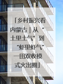 乡村振兴看内蒙古｜从“土里土气”到“虾里虾气” 一田双收模式火出圈