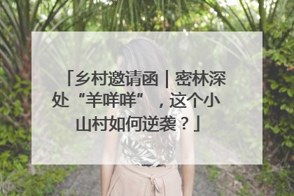 乡村邀请函｜密林深处“羊咩咩”，这个小山村如何逆袭？