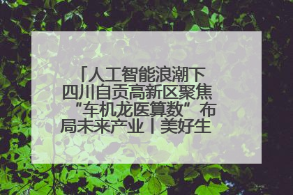 人工智能浪潮下 四川自贡高新区聚焦“车机龙医算数”布局未来产业丨美好生活有“盐”味
