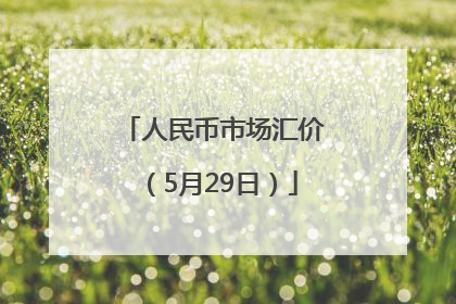 人民币市场汇价（5月29日）