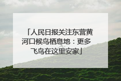 人民日报关注东营黄河口候鸟栖息地：更多飞鸟在这里安家