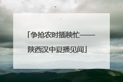 争抢农时插秧忙——陕西汉中夏播见闻