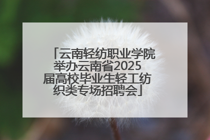 云南轻纺职业学院举办云南省2025届高校毕业生轻工纺织类专场招聘会