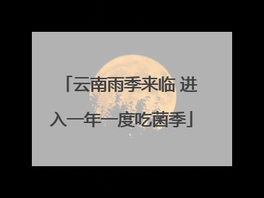云南雨季来临 进入一年一度吃菌季