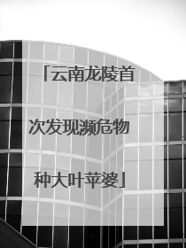 云南龙陵首次发现濒危物种大叶苹婆