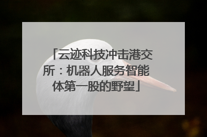 云迹科技冲击港交所：机器人服务智能体第一股的野望