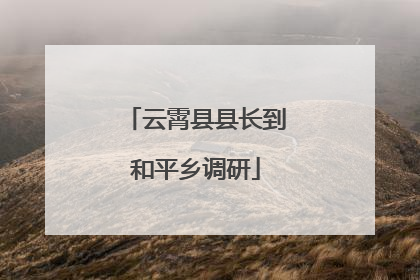 云霄县县长到和平乡调研