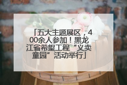 五大主题展区，400余人参加！黑龙江省希望工程“义卖童园”活动举行