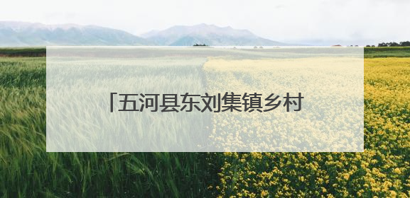 五河县东刘集镇乡村振兴添“金羽” “鸽”声叫响致富路