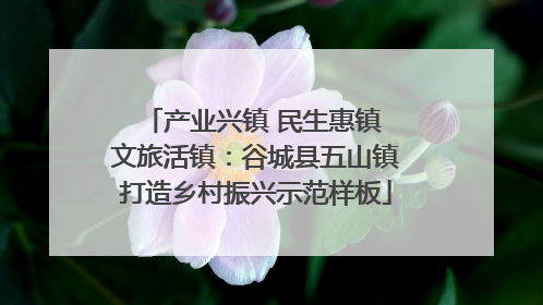 产业兴镇 民生惠镇 文旅活镇：谷城县五山镇打造乡村振兴示范样板
