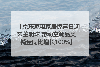 京东家电家居惊喜日迎来董明珠 带动空调品类销量同比增长100%