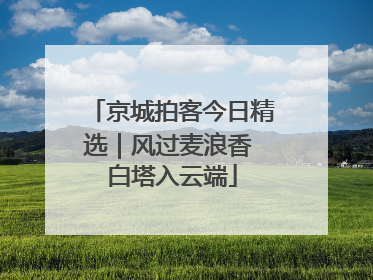 京城拍客今日精选｜风过麦浪香 白塔入云端