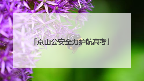 京山公安全力护航高考