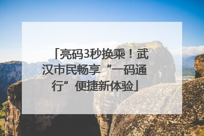 亮码3秒换乘！武汉市民畅享“一码通行”便捷新体验