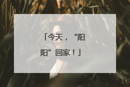 今天，“阳阳”回家！