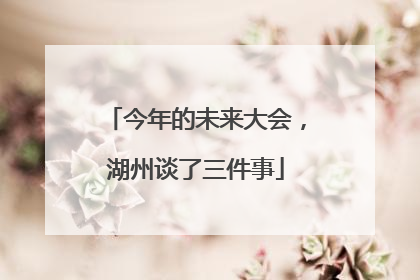 今年的未来大会，湖州谈了三件事