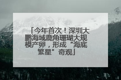 今年首次！深圳大鹏海域鹿角珊瑚大规模产卵，形成“海底繁星”奇观